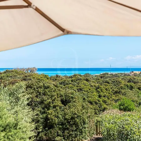 The Windsurf Apartment Stintino