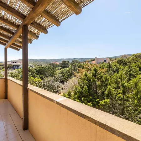 The Windsurf Stintino