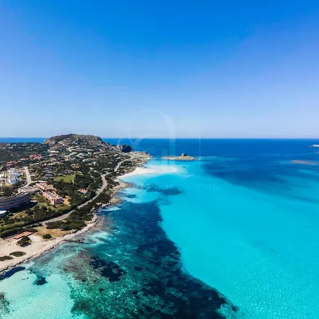 The Windsurf * Stintino