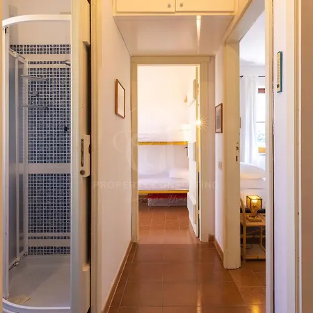 아파트 The Windsurf *