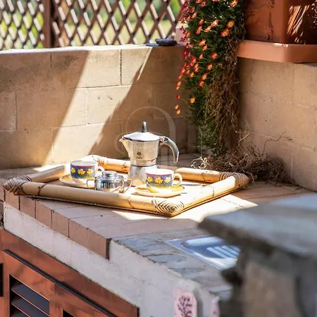 The Windsurf * 스틴티노