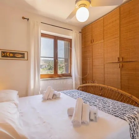 The Windsurf * 스틴티노